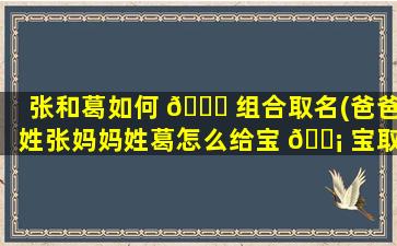 张和葛如何 🕊 组合取名(爸爸姓张妈妈姓葛怎么给宝 🐡 宝取名字)
